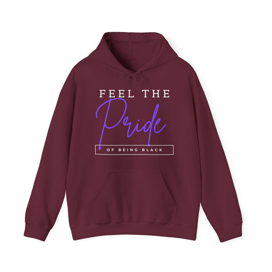 Feel The Pride of Being Black, Hoodie